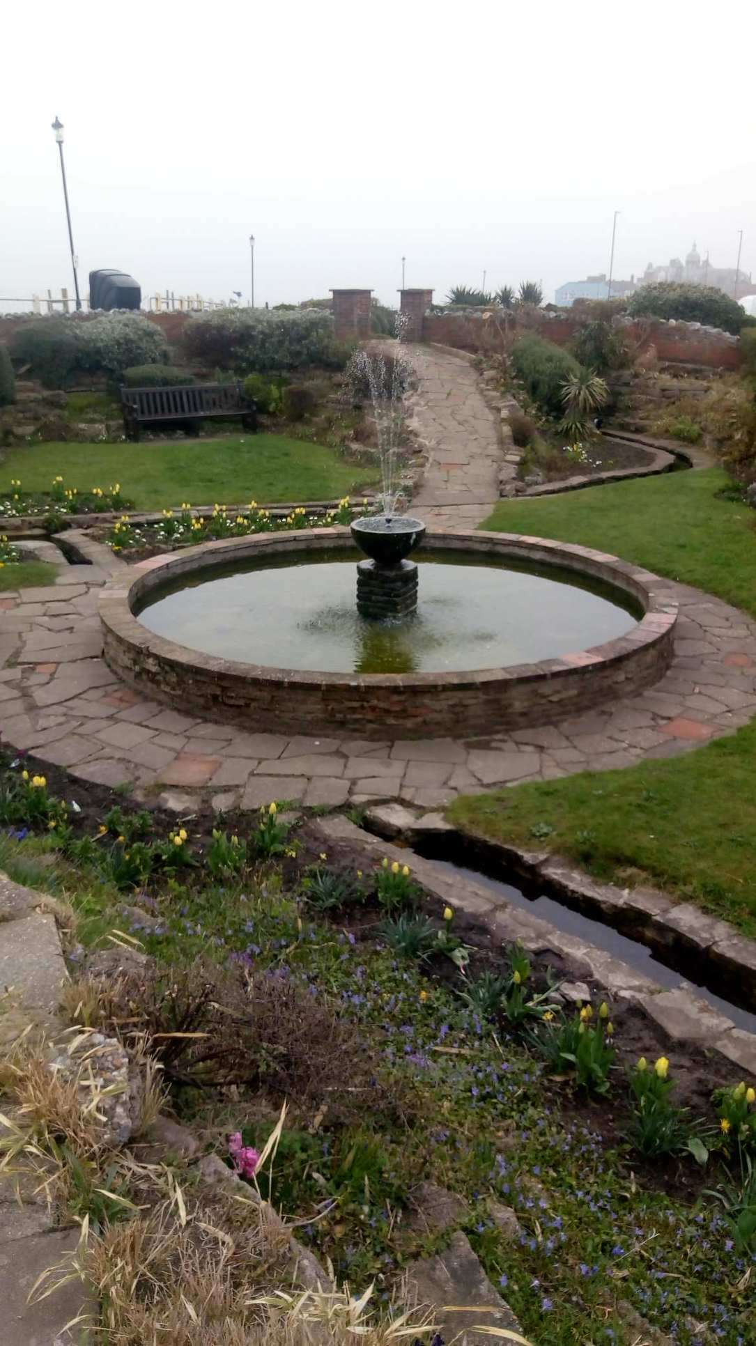 Pond Feature